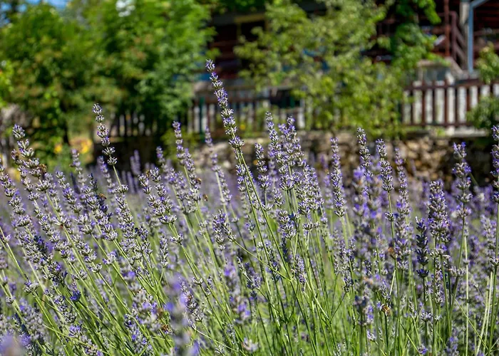 2 Bedroom Awesome In