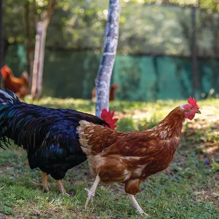 2 Bedroom Awesome In Opatija Опатия