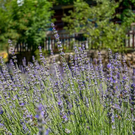 2 Bedroom Awesome In Opatija